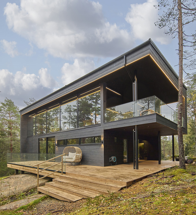 Modern black log house